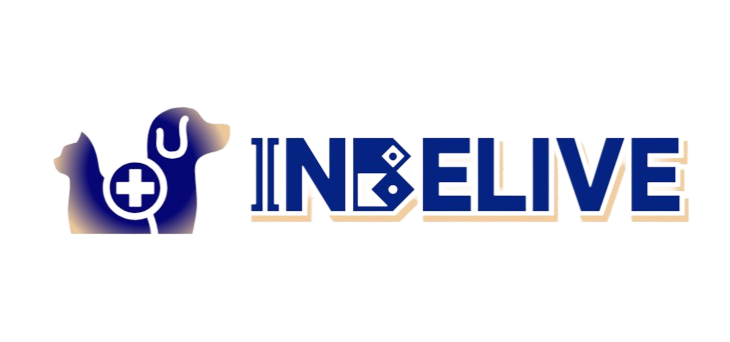 InBelive Pet Toys