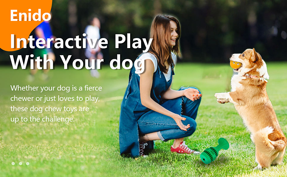 dog chew toys for large dogs