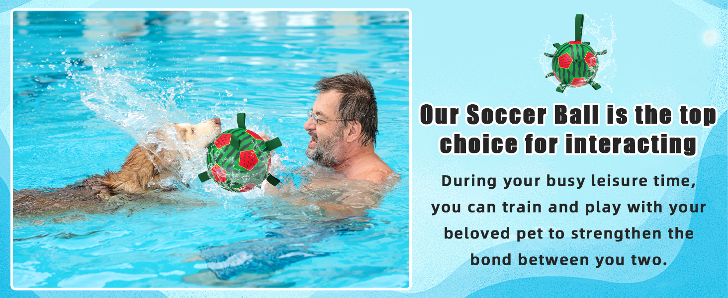 dog water soccer ball