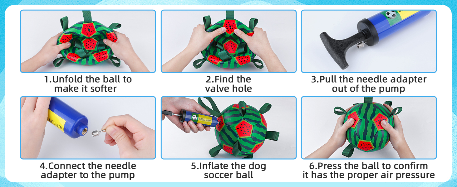 dog water soccer ball