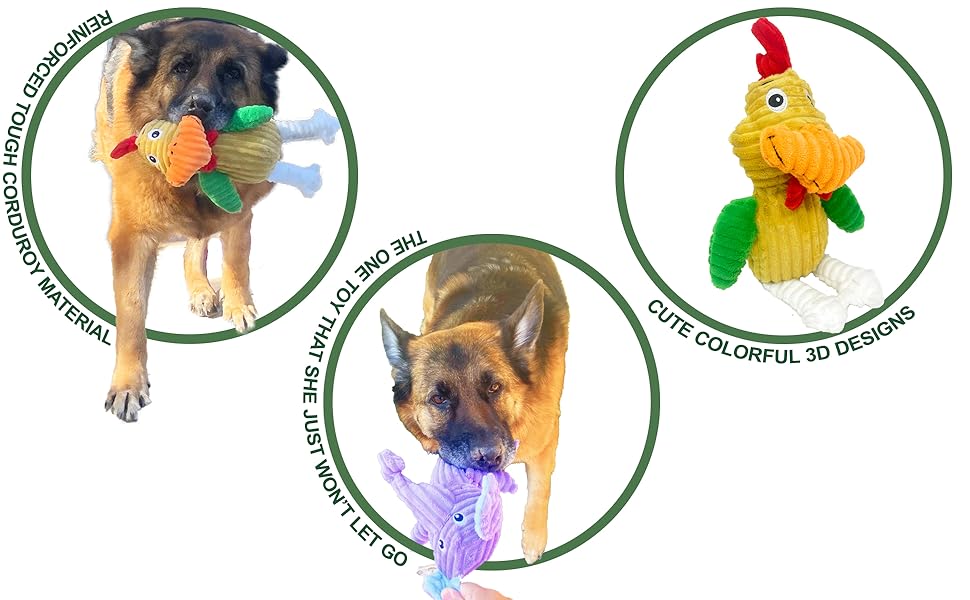 dog squeaky toy