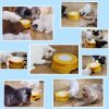 Inbelive Cat Toy, Interactive Cat Toys for Indoor Cats, Automatic Cat String Toy for Cat Exercise, Fit for Most Cats (Blue)