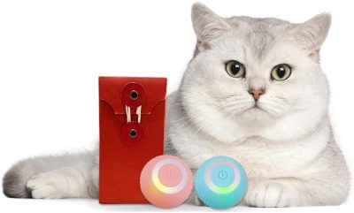 Inbelive Smart Cat Toy, Gravity Smart Roller Ball, Interactive Cat Toys for Indoor,Automatic Pet Exercise Toys, Cats Stuff Automatic Cat Toy as Xmas Cat Gift Box