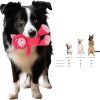 Inbelive 5 Pack Squeaky Plush Toys Assortment Value Bundle Puppy Pet Mutt Squeak Toy for Medium Large Dogs Made Tough for Aggressive Chewers
