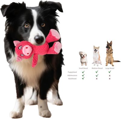 Inbelive 5 Pack Squeaky Plush Toys Assortment Value Bundle Puppy Pet Mutt Squeak Toy for Medium Large Dogs Made Tough for Aggressive Chewers