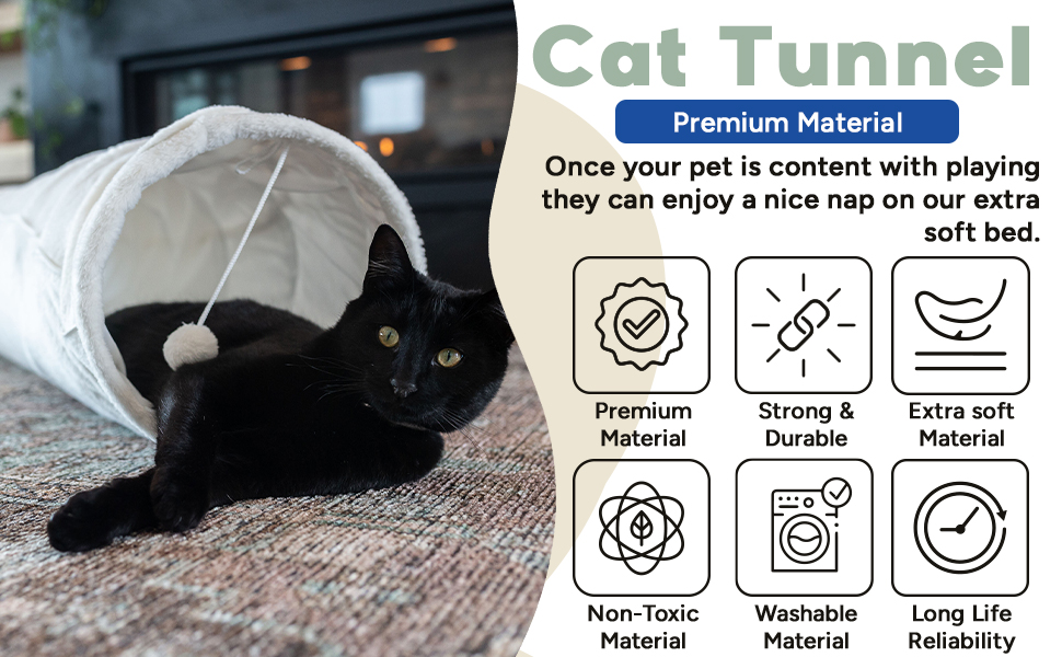 Cat Tunnel 4