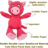 Inbelive 5 Pack Squeaky Plush Toys Assortment Value Bundle Puppy Pet Mutt Squeak Toy for Medium Large Dogs Made Tough for Aggressive Chewers