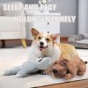 Inbelive Dog Heartbeat Toy for Puppy Anxiety Relief, Heartbeat Stuffed Animal Heartbeat Plush Toy for Small, Medium, and Large Dogs (Brown)