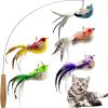 Inbelive Cat Feather Toy Refill Cat Wand Attachments, 5 PCS Feathers Cat Toy Refills, Cat Wand Replacement Feather Bird for Cat Toy