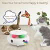Inbelive 3-in-1 Cat Toy: Interactive Fun with Fluttering Butterfly, Ambush Feather, and Track Balls. USB Powered for Indoor Exercise (Bright White)