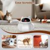 Inbelive 4 in 1 Cat Laser Toy Automatic, Interactive Cat Toys for Indoor Cats, Hide and Seek Kitten Wand Toy, USB Rechargeable Electronic Toys with Moving Feather, Cover for Bored Cats All Breeds