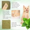 Inbelive Cat Mint Ball Toy, Catnip Floor Ball Toy, Interactive Catnip Toy, Rotatable Catnip Roller Ball Floor Mount, Catnip Floor Toys with Enjoyable and Safe, Floor Catnip Roller for Cat Playing (Small)