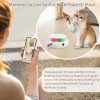 Inbelive 3-in-1 Cat Toy: Interactive Fun with Fluttering Butterfly, Ambush Feather, and Track Balls. USB Powered for Indoor Exercise (Bright White)
