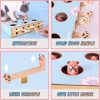 Inbelive Cat Enrichment Toys for Indoor Cats, Whack-A-Mole Cat Puzzle Toy, Corrugated Cardboard Cat Scratching Post, Indoor Cat Scratching Post Toy, Safe and Fun Paw Scratcher, Exercise Puzzle for All Ages