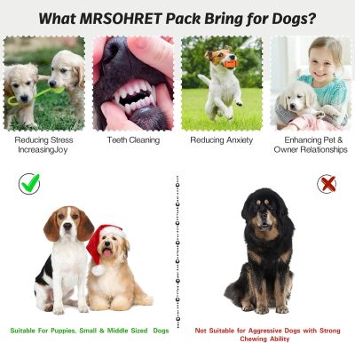 Inbelive 20Pcs Puppy Chew Toys for Teething, Dog Chew Toys with Rope Toys, Pet Dog Toothbrush, Treat Balls, Dog Plush Toys and Squeaky Toys for Small Medium Dogs, Cute Dog Toy with Basket