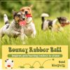 Inbelive 11 Pcs Dog Squeaky Toys Squeaky Latex Dog Toys Soft Chew Rubber Dog Toy Rubber Chew Toys for Dogs Assorted Animal Pet Toys Puppy Fetch Pet Interactive Play for Small and Medium Pets
