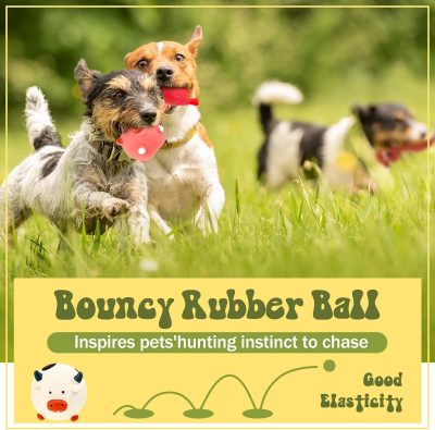 Inbelive 11 Pcs Dog Squeaky Toys Squeaky Latex Dog Toys Soft Chew Rubber Dog Toy Rubber Chew Toys for Dogs Assorted Animal Pet Toys Puppy Fetch Pet Interactive Play for Small and Medium Pets