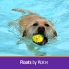 Inbelive Dog Balls Tennis Ball Toys Dog Toys for Aggressive Chewers Durable Teething Chew Toys Water Toy Fetch Balls for Large Medium Small Dog and Puppies (4 Balls)