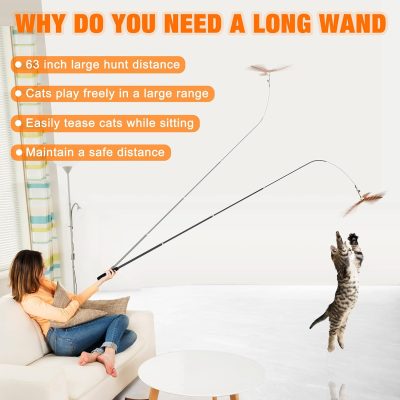Inbelive 2024 latest Cat Toys, 2 in 1 Spring Cat Wand Toy with 2PCS Ultra-long Cat Teaser, 4PCS Spring Steel Wire & 5PCS Feather Refills for Kitty Kitten Indoor Cats Cat Accessories