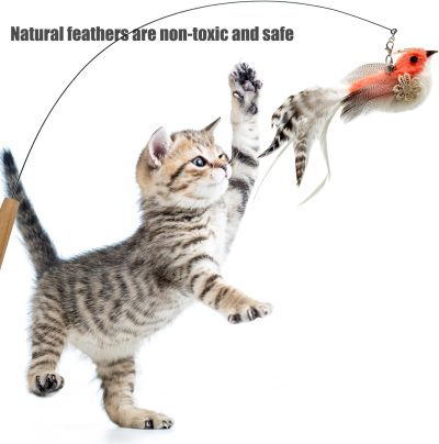 Inbelive Cat Feather Toy Refill Cat Wand Attachments, 5 PCS Feathers Cat Toy Refills, Cat Wand Replacement Feather Bird for Cat Toy