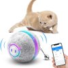 Inbelive Interactive Smart Cat Toy, APP Control Self Moving Balls, 3 Modes Active Rolling Ball with Replaceable Shell, Rechargeable Wicked Ball for Indoor Cats/Kitten and Small Dogs