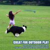Inbelive Dog Balls, Indestructible Tennis Balls for Dogs, Durable Bouncy Dog Toy Balls for Aggressive Chewers, Interactive Dog Toys for Fetch Game, Lightweight Floating Dog Toys (4 Balls)