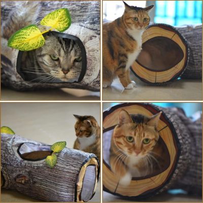Inbelive Large Cat Tunnel, 3 Way Collapsible Tube with Peek Holes Cat Tunnels for Indoor Cats Interactive Maze Toy for Kitty Puppy Rabbits Ferrets Squirrels Guinea Pigs Chinchillas