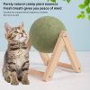 Inbelive Cat Mint Ball Toy, Catnip Floor Ball Toy, Interactive Catnip Toy, Rotatable Catnip Roller Ball Floor Mount, Catnip Floor Toys with Enjoyable and Safe, Floor Catnip Roller for Cat Playing (Small)