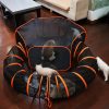Inbelive Cat Tunnel Tube Cat Enclosures Foldable Cat Tent Small Animal Playpen Bunny Cage Cat Toy Pet Tents Outdoor Indoor for Fun Orange with Storage Bag