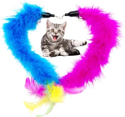 Inbelive Cat Feather Toys Refill Cat Wand Replacement Feathers, 16 PCS Cat Toy Feather Refills, Cat Wand Attachments Feathers for Cat Toys