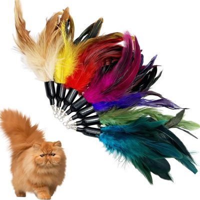 Inbelive Cat Feather Toys Refill Cat Wand Replacement Feathers, 16 PCS Cat Toy Feather Refills, Cat Wand Attachments Feathers for Cat Toys