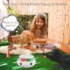 Inbelive 3-in-1 Cat Toy: Interactive Fun with Fluttering Butterfly, Ambush Feather, and Track Balls. USB Powered for Indoor Exercise (Bright White)