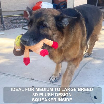 Inbelive 5 Pack Tough Layer Plush Dog Toys Assortment Value Bundle Dog Squeaky Toys Assortment Puppy Pet Mutt Dog Toy Dog Squeak Toy for Medium Large Dogs