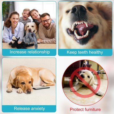 Inbelive 10 Pcs Dog Squeaky Toys No Stuffing Pet Toys Crinkle Dog Toy for Aggressive Chewers Plush Teething Puppy Squeak Toys Animals Chew Toys for Small Medium Large Pets, 10 Styles(Classic Style)