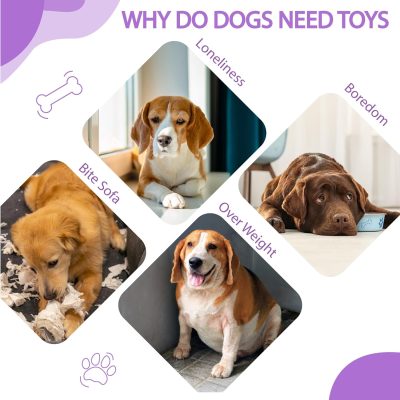 Inbelive Dog Toy, 8 Pack Dog Squeaky Toys for Chewer Small, Medium, and Large Breed,Cute Durable Interactive Dog Toys for Indoor Puppy Teething, Pet Entertaining, Fun, with Squeaker & Crinkle Paper