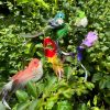 Inbelive Cat Feather Toy Refill Cat Wand Attachments, 5 PCS Feathers Cat Toy Refills, Cat Wand Replacement Feather Bird for Cat Toy