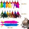 Inbelive Cat Feather Toys Refill Cat Wand Replacement Feathers, 16 PCS Cat Toy Feather Refills, Cat Wand Attachments Feathers for Cat Toys