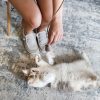 Inbelive OurPets Play-N-Squeak Teathered & Feathered Play Wand Cat Toy, for All Breed Sizes