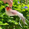 Inbelive Cat Feather Toy Refill Cat Wand Attachments, 5 PCS Feathers Cat Toy Refills, Cat Wand Replacement Feather Bird for Cat Toy