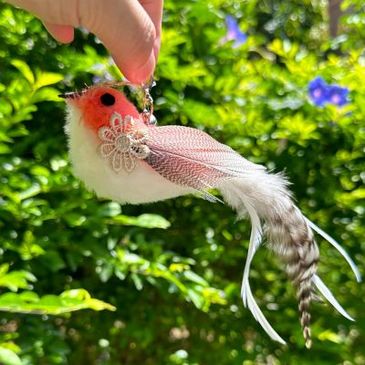 Inbelive Cat Feather Toy Refill Cat Wand Attachments, 5 PCS Feathers Cat Toy Refills, Cat Wand Replacement Feather Bird for Cat Toy