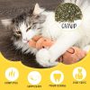 Inbelive 50 Pcs Catnip Toys for Indoor Cat Plush Cats Toys Bulk Interactive Catnip Filled Kitten Toys Cat Chew Toy Pet Cats Supplies