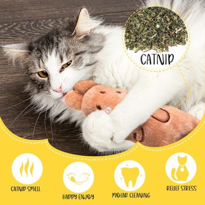 Inbelive 50 Pcs Catnip Toys for Indoor Cat Plush Cats Toys Bulk Interactive Catnip Filled Kitten Toys Cat Chew Toy Pet Cats Supplies