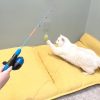 Inbelive Cat Casting Fishing Pole Toy, Cat Casting Toy Set, Interactive Toy for Cats, Tangle-Free Design, Cat Toy for Indoor Outdoor Cats