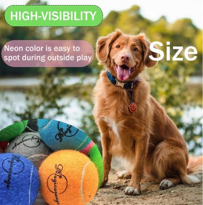 Inbelive Tennis Balls, 20 Pack Tennis Balls for Dogs, Pet Dog Playing Balls, Come with Mesh Bag for Easy Transport, Colorful Easy Catching Pet Dog Balls (Multi-Color)
