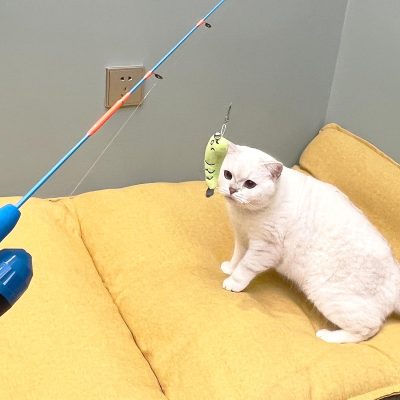 Inbelive Cat Casting Fishing Pole Toy, Cat Casting Toy Set, Interactive Toy for Cats, Tangle-Free Design, Cat Toy for Indoor Outdoor Cats