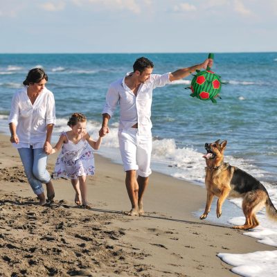 Inbelive Watermelon Ball Dog Water Toys- Waterproof Dog Soccer Ball with Straps, Dog Beach Balls for Summer Outdoor Games Swimming Pool with Family Kids, Outdoor Dog Toys (9 inch)