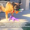 Inbelive 5 Pack Tough Plush Animal Dog Toys Assortment Value Bundle Dog Squeaky Toys Assortment Puppy Pet Mutt Dog Toy Dog Squeak Toy for Medium Large Dogs