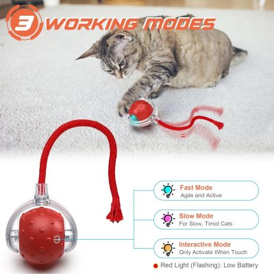 Inbelive Interactive Cat Toys Ball, Motion Activate Electric Cat Toy, Automatic Pet Exercise Toys, Simulate Bird Calls, USB Rechargeable (Long Tail)