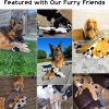 Inbelive Dog Squeaky Toys, 5 PCS Crinkle Plush Dog Toys, No Stuffing Dog Toys for Small Medium Large Dogs, Stuffless Puppy Toys for Boredom