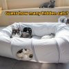 Inbelive 4 Ways Shuttled XL Cat Tunnel Bed for Indoor Cats Peekaboo Cat Cave Donut with Cool Mat